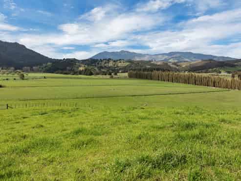 471 Moore Road, Pipiwai