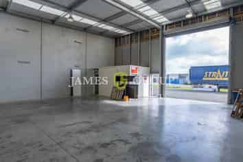 Race into Hampton Downs!