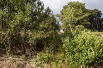 19 Totara Heights Way, Paihia