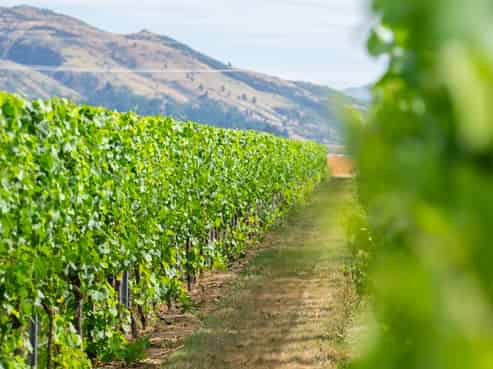 1750 Tarras-Cromwell Road, Cromwell