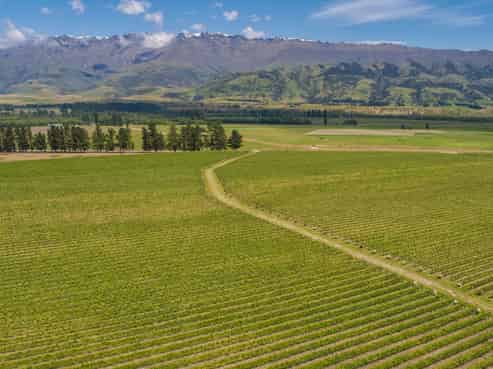 1750 Tarras-Cromwell Road, Cromwell