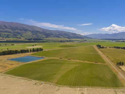 1750 Tarras-Cromwell Road, Cromwell