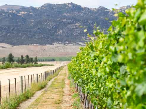 1750 Tarras-Cromwell Road, Cromwell