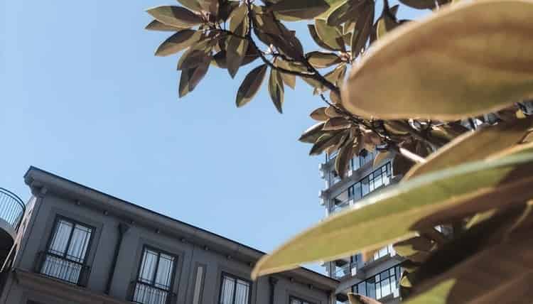 184 Symonds Street, Eden Terrace