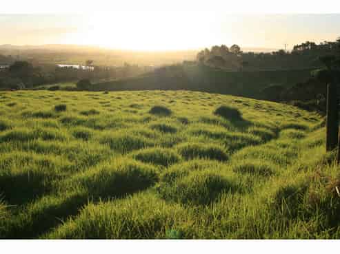 56E Kaipara Coast Highway, Helensville