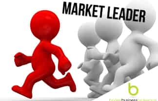 Mini Transportation Biz, Average Cash Surplus $176K