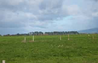 315 Collins Road, Melville