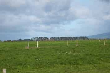 315 Collins Road, Melville