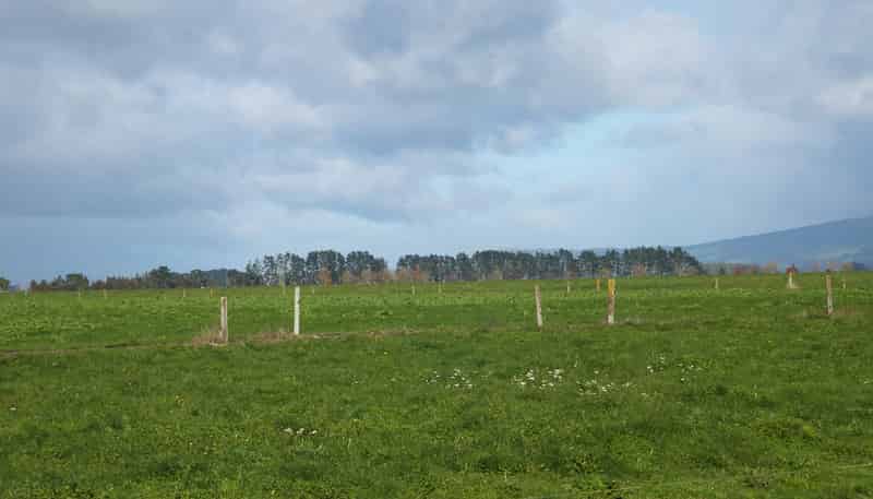 315 Collins Road, Melville