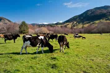 1434 Tadmor-Glenhope Road, Tapawera