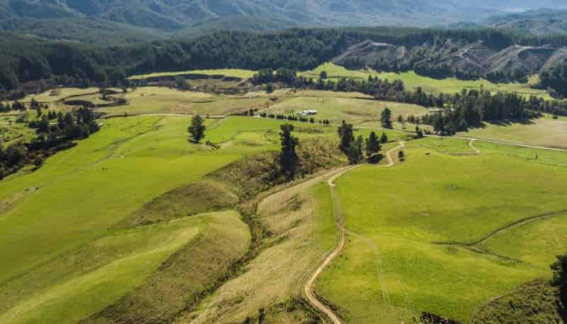 1434 Tadmor-Glenhope Road, Tapawera