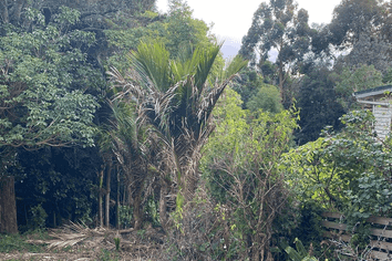 2428m2 Sec Moore Street, Hillcrest