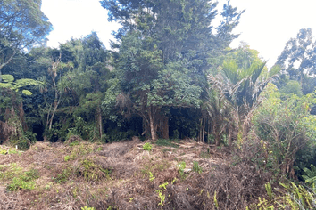 2428m2 Sec Moore Street, Hillcrest