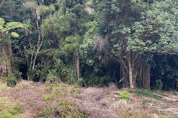 2428m2 Sec Moore Street, Hillcrest