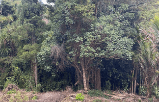 2428m2 Sec Moore Street, Hillcrest