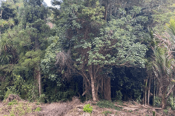 2428m2 Sec Moore Street, Hillcrest