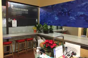 Business for Sale in West Auckland