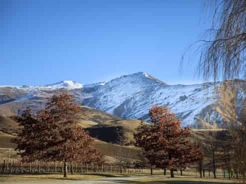 2131 Gibbston Highway, Gibbston