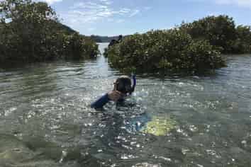 Pay 1/3 and the balance over 2 years*