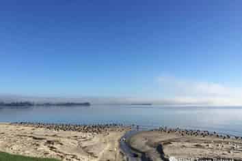 337D Clarks Beach Road, Clarks Beach