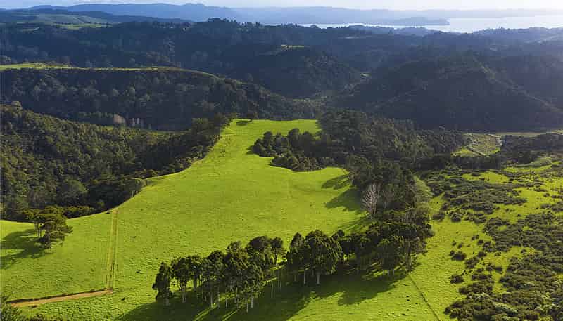 Lot 8/394 Awhitu Central Road, Awhitu