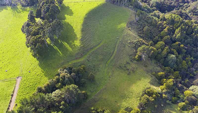 Lot 5/394 Awhitu Central Road, Awhitu