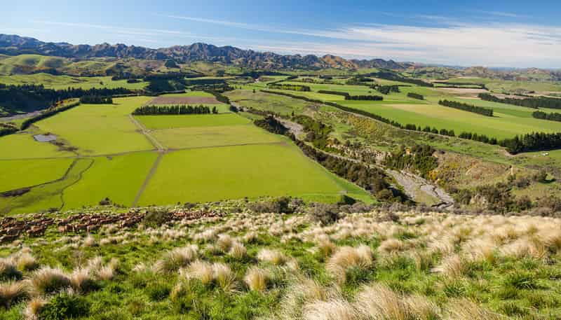 3276 Inland Kaikoura Road, Kaikoura