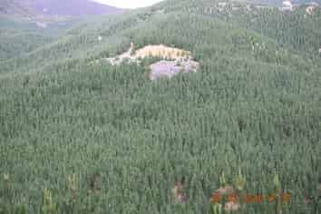 00 Pakowai - Tinui Rd, Tinui