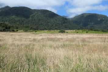 18 Ferguson Place, Franz Josef Glacier