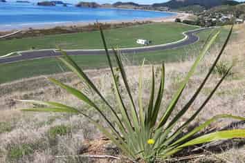 68 Skippers Road, Opito Bay