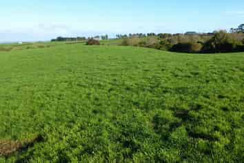 343 Opunake Road Lot 2, Stratford