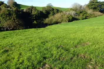 343 Opunake Road Lot 2, Stratford