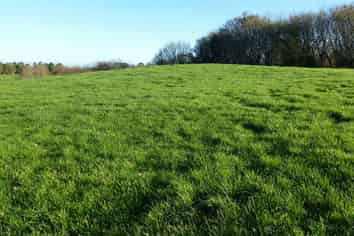 343 Opunake Road Lot 2, Stratford