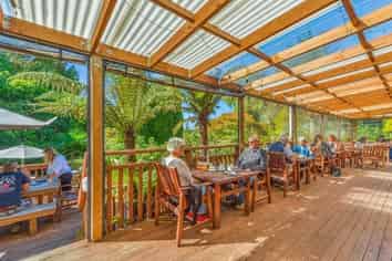 Lifestyle and Income Opportunity