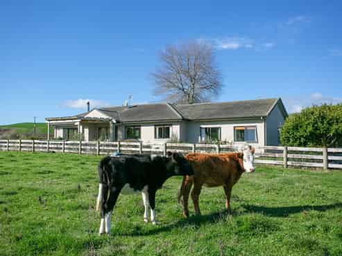 135 Lethbridge Road, Wharepapa South