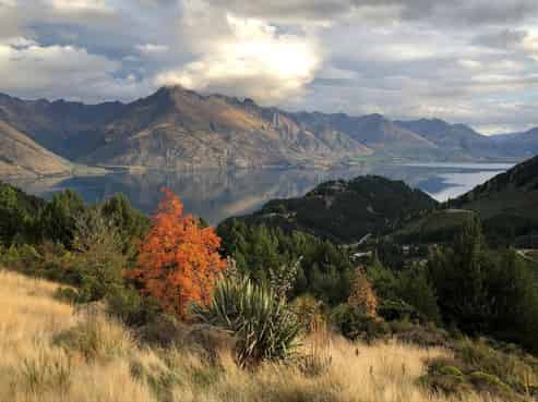 103 Alpine Retreat Road, Closeburn