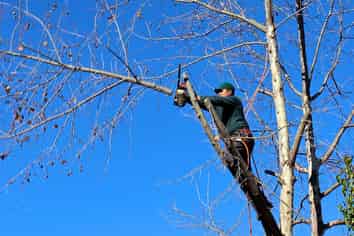 Sales and Service - 47% Return on Investment