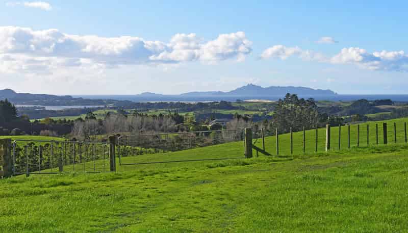 210 Staniforth Road, Te Arai