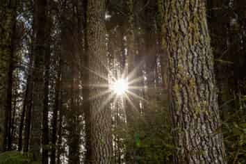 369 Puniwhakau, Stratford