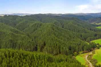 369 Puniwhakau, Stratford