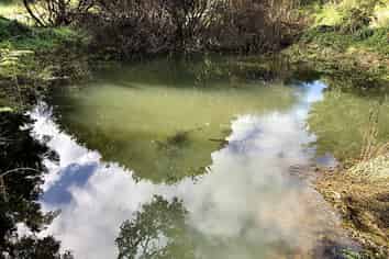 48 Mick Dillon Road, Makarau