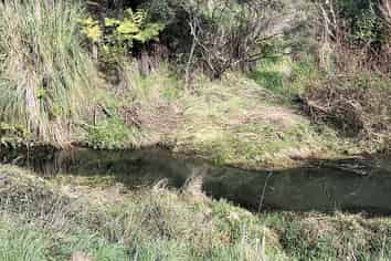 48 Mick Dillon Road, Makarau