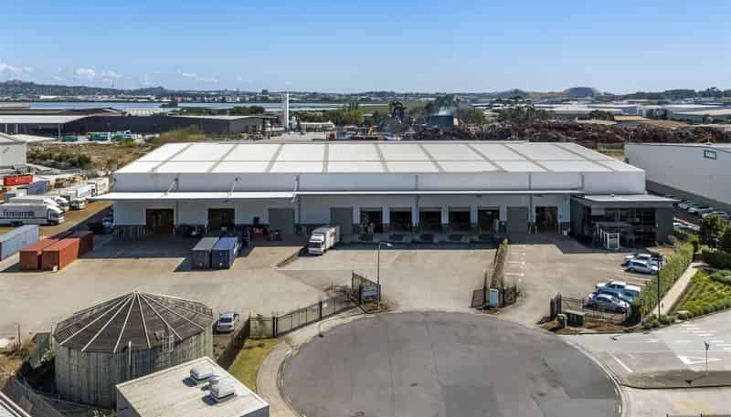 113 Savill Drive, Otahuhu