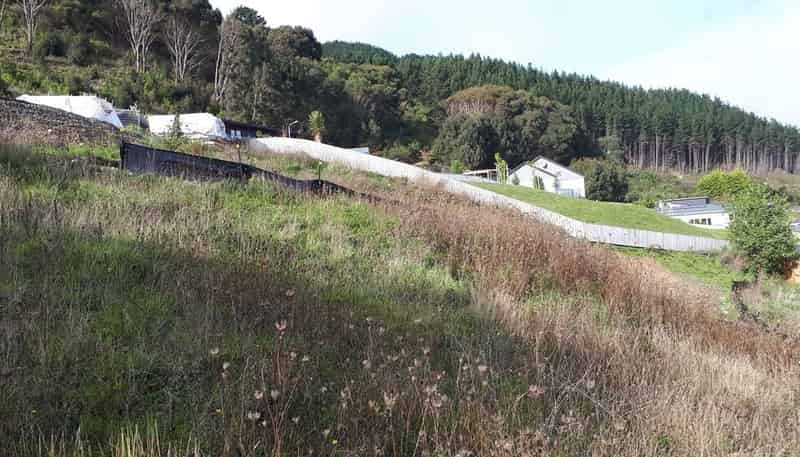 66 Kakariki Grove, Waikanae