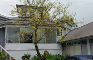 6/40 Clonbern Road, Remuera