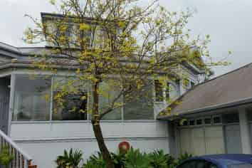 6/40 Clonbern Road, Remuera