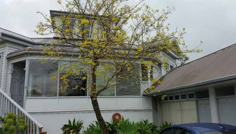 6/40 Clonbern Road, Remuera