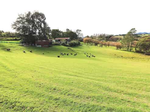 28 Fairburn Road, Kaitaia