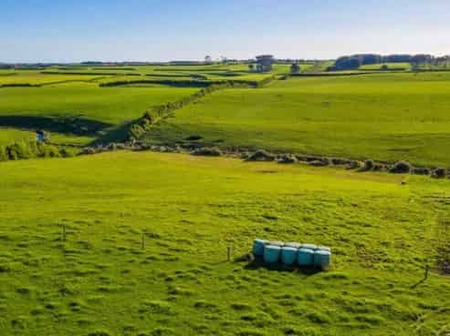 24 Larlin Drive, Hawera
