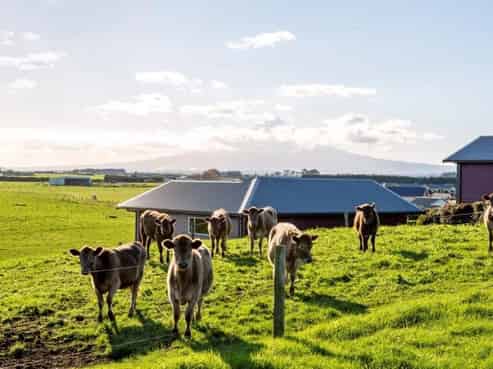 24 Larlin Drive, Hawera